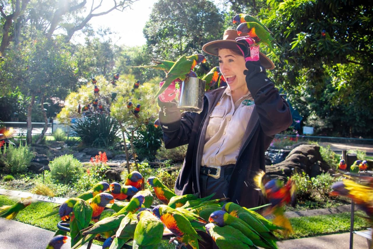 Билет в Currumbin Wildlife Sanctuary на Голд-Косте, фото 3