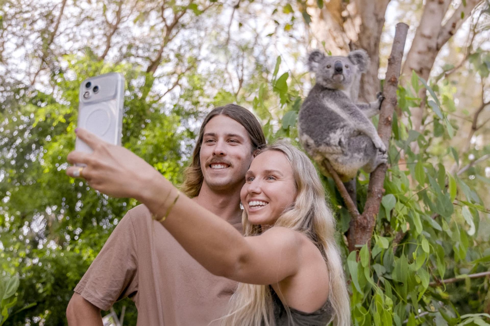 Билет в Currumbin Wildlife Sanctuary на Голд-Косте, главное фото